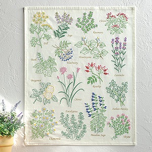 HERBS
