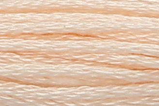 アンカーストランテッドコットン（ししゅう糸）col.1011