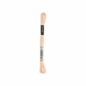 アンカーストランテッドコットン（刺しゅう糸）col.1012