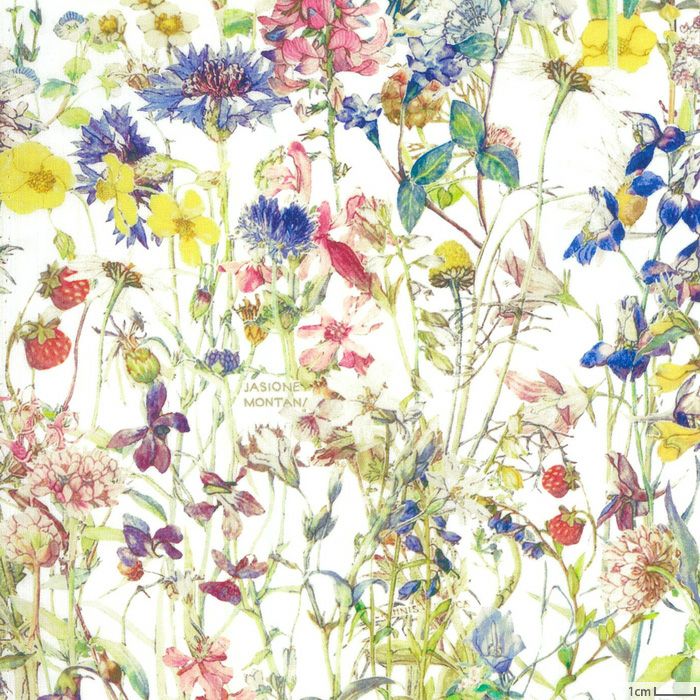 生地 リバティプリント（ホビーラホビーレオリジナル）2022SS ワイルド  