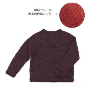 【レシピなし】丸ヨークセーター＜プチネップフォープライ22OR＞（編み物 材料セット）