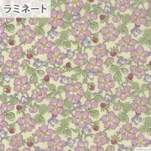 リバティプリント ラミネート ペイザンヌ＜10IV＞生地 （ホビーラホビーレオリジナル）2023SS