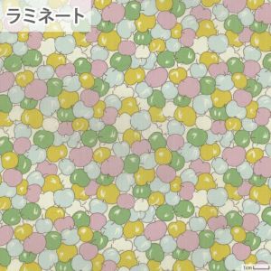 リバティプリント ラミネート モレロ・チェリーズ＜03G＞生地 （ホビーラホビーレオリジナル）2023SS