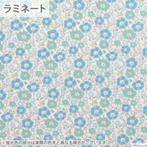 リバティプリント ラミネート セランダイン＜14B＞生地 （ホビーラホビーレオリジナル）2023SS