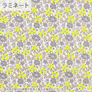 リバティプリント ラミネート セランダイン＜12Y＞生地 （ホビーラホビーレオリジナル）2023SS