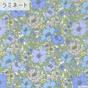 リバティプリント ラミネート メドゥ・ソング＜03B＞生地 （ホビーラホビーレオリジナル）2023SS