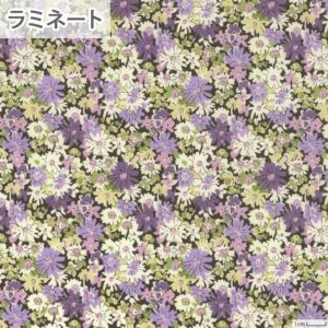 リバティプリント ラミネート リビー＜02L＞生地 （ホビーラホビーレオリジナル）2023SS