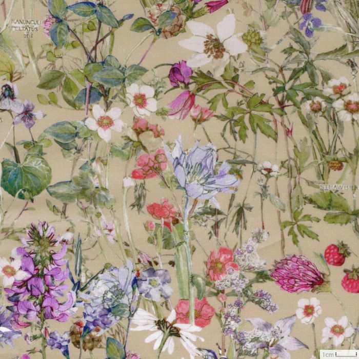 リバティプリント ワイルド・フラワーズ＜22BE＞生地 （ホビーラ  