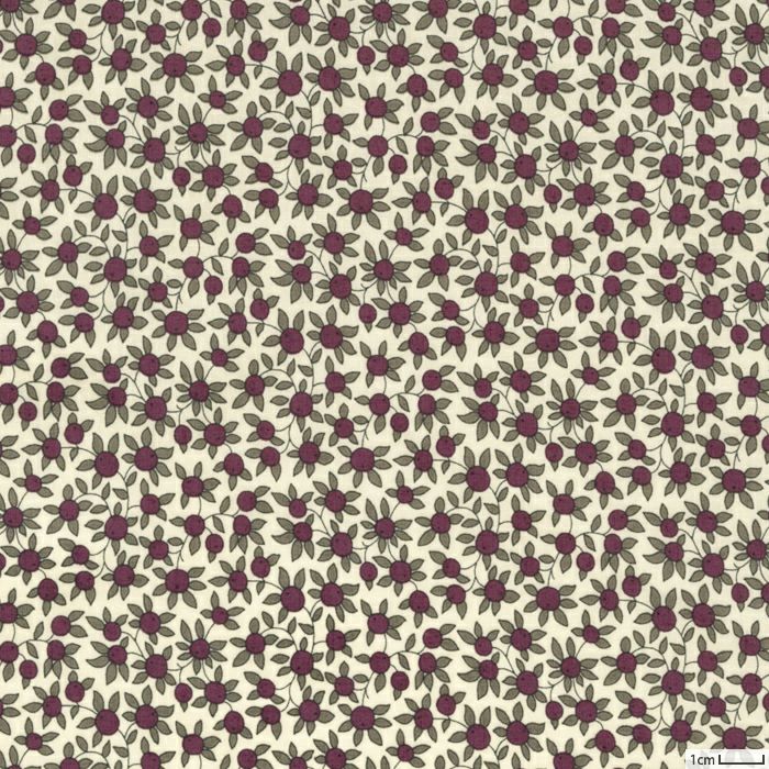 000000045450-01-m.jpg?t=  