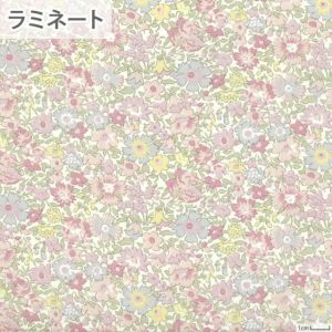 リバティプリント ラミネート ドラ＜11P＞生地 （ホビーラホビーレオリジナル）2023AW