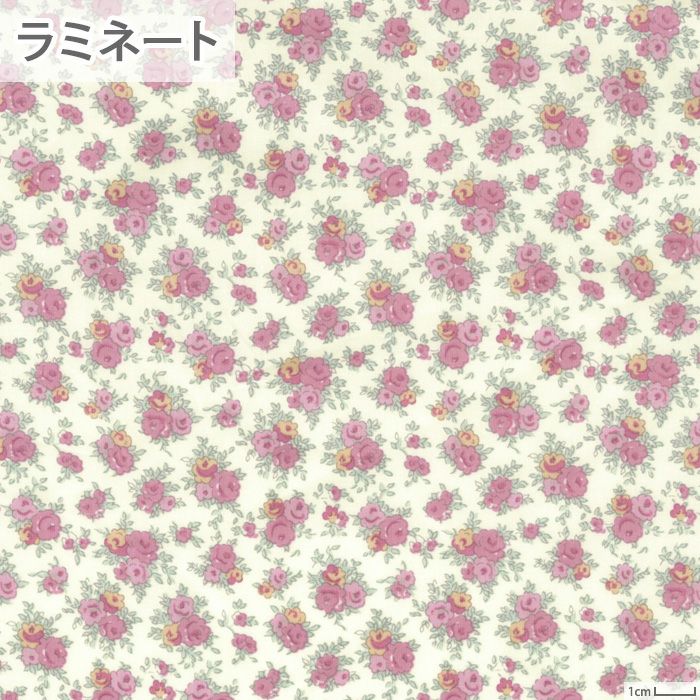 リバティプリント スワッチボックス10＜15P＞生地 （ホビーラ