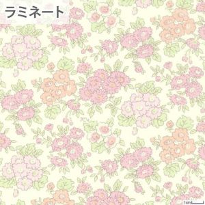 リバティプリント ラミネート ポーラ＜03P＞生地 （ホビーラホビーレオリジナル）2024SS