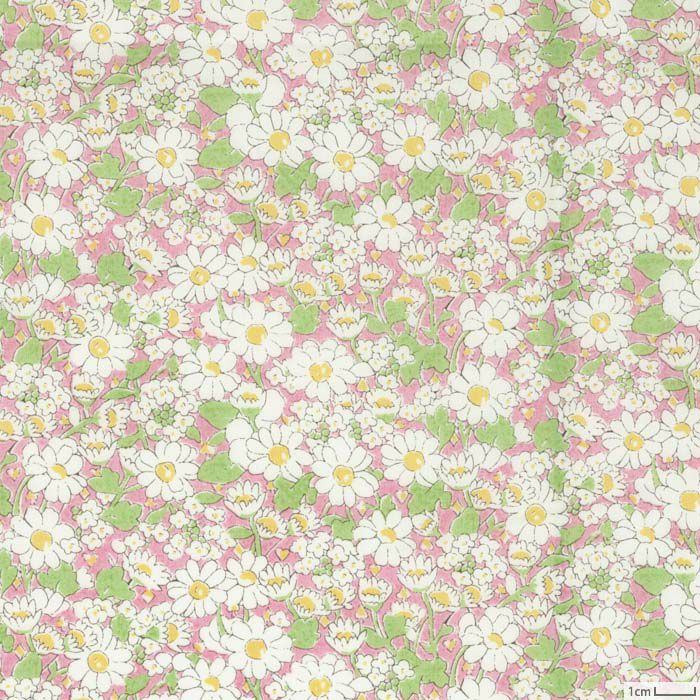 しょう吉　ヌビ　リバティ　アリスW 入園入学　オーダー　ハンドメイド しょう吉様専用 ヌビ リバティ アリスW 入園入学 オーダー