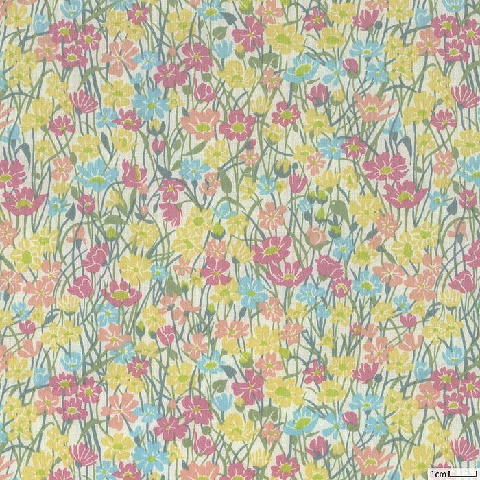 000000048039-01-m.jpg?t=  