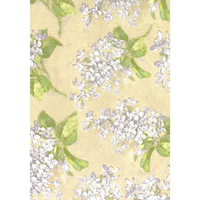 000000048947-03-l.jpg?t=