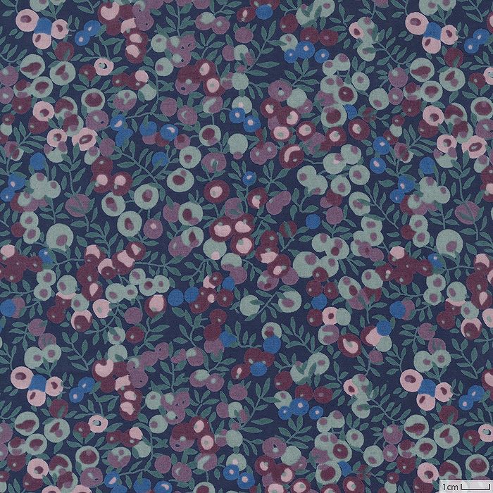 ボリスヴァレーホ踊る女 あなたの願いは私の命令 フランクミント社