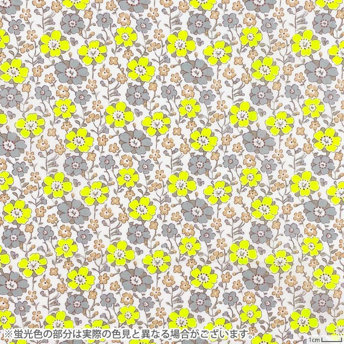 リバティプリント フレンチブラウス＜Lサイズ＞14Cの柄画像