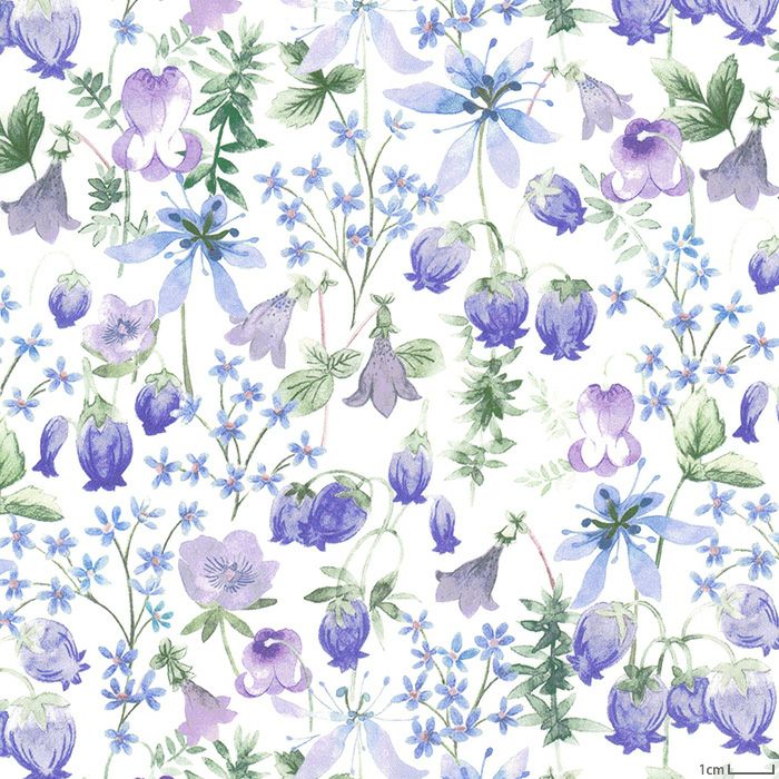 商品一覧 | ホビーラホビーレ オンラインショップ